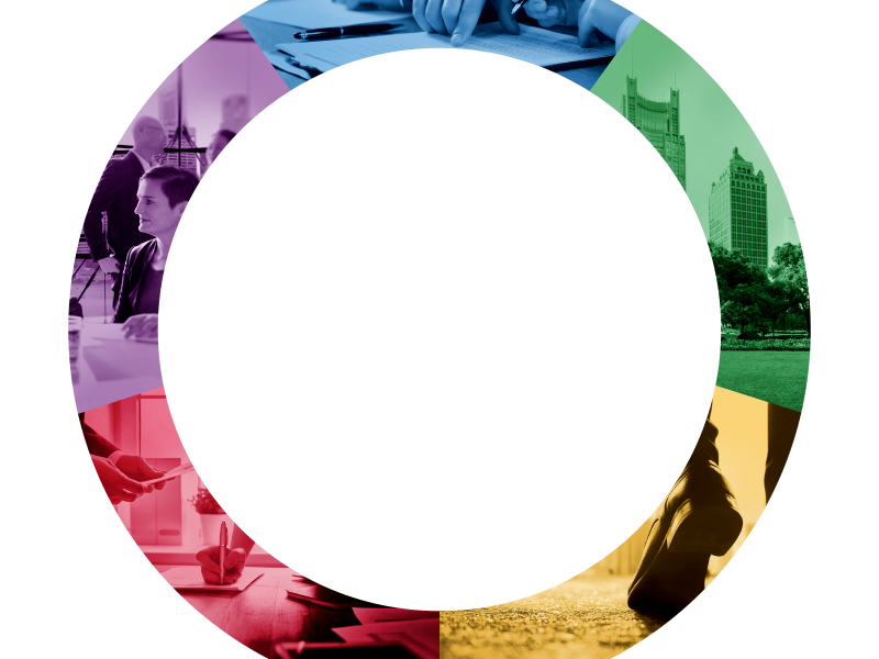 SHIONOGI BRAND STATEMENT 
