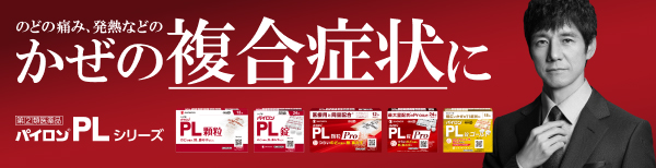 パイロンPL