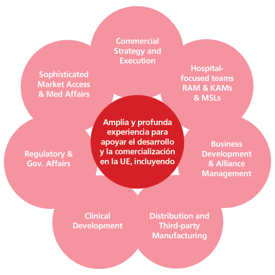 Broad and deep expertise to support development and commercialistion in EU including: Commercial Strategy and Execution; Hospital-focused teams RAMs & KAMs & MSLs; Business Development & Alliance Management; Distribution and Third-Party Manufacturing; Clinical Development; Regulatory & Gov. Affairs; Sophisticated Market Access & Med Affairs.