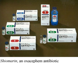 Shiomarin, an oxacephem antibiotic