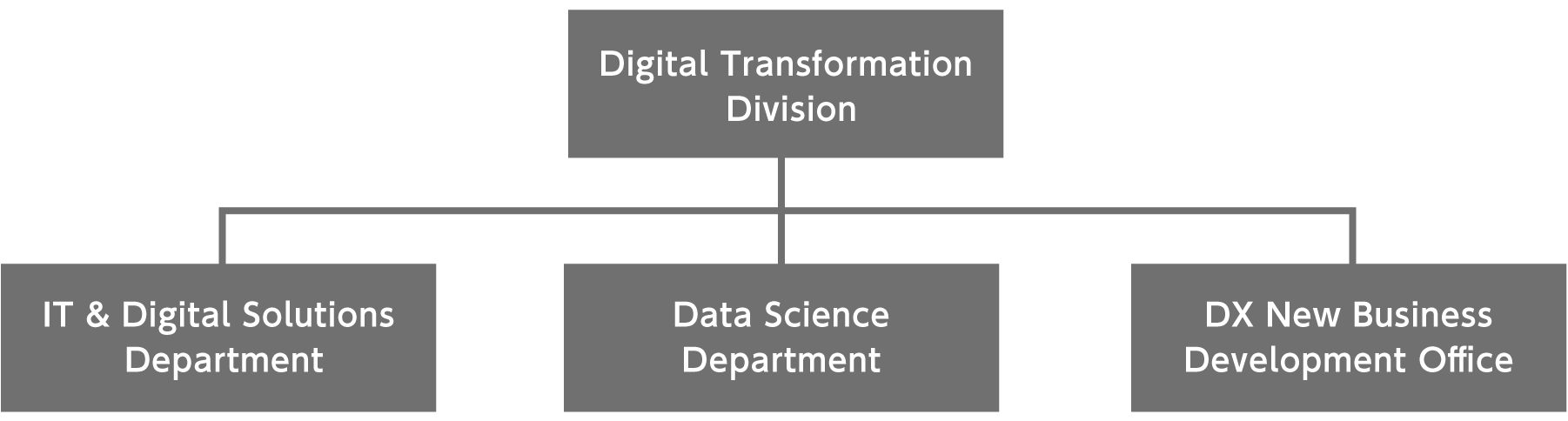 Organization Structure of the DX Promotion Headquarters