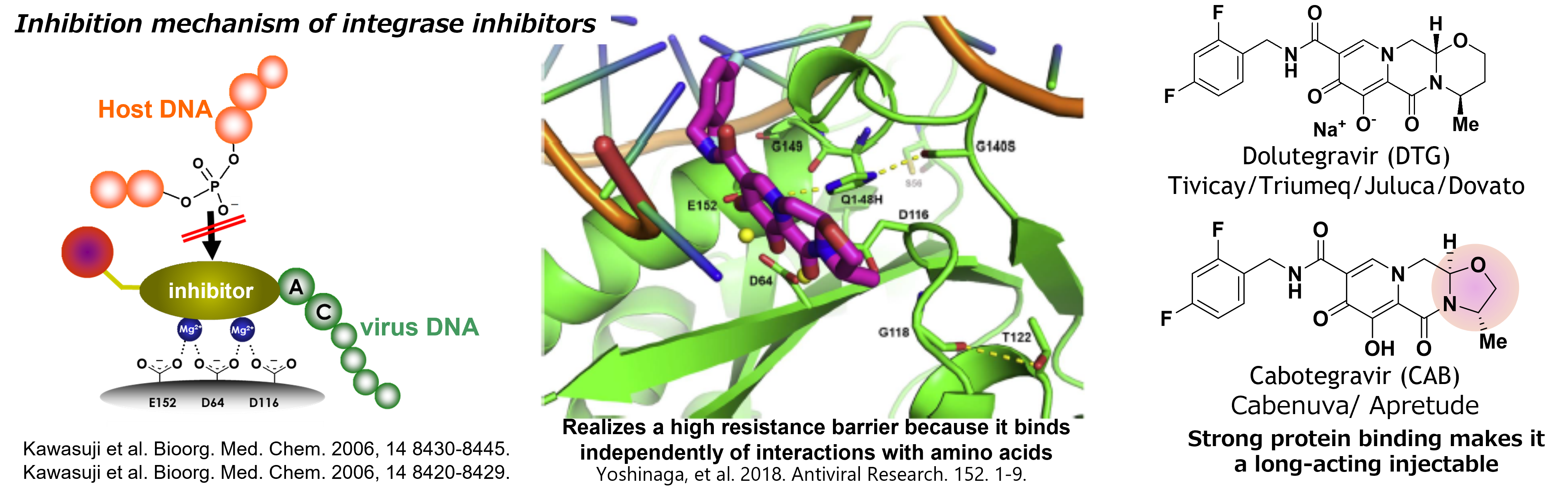 inhibition mechanism of integrase inhibitors