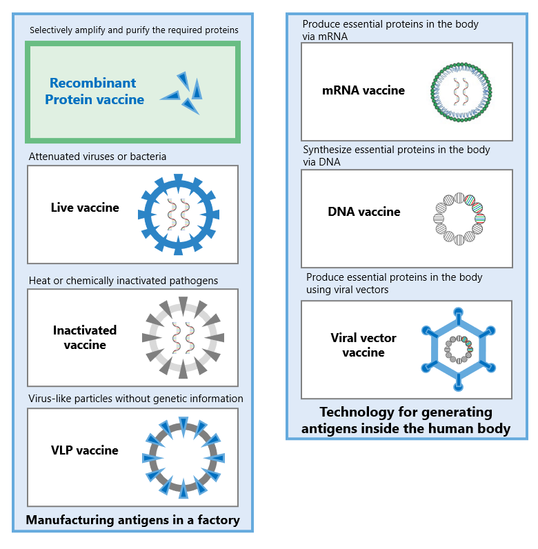 Diagram introducing the types of vaccines