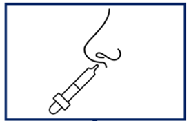 Schematic diagram of nasal vaccine