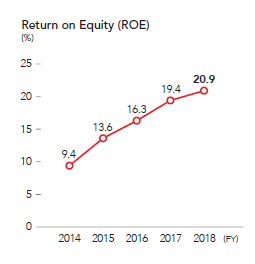 Return on Equity (ROE)