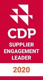 CDP 2020ロゴ