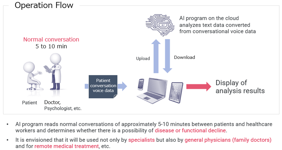 Usage Concept of the Diagnostic Support AI Program