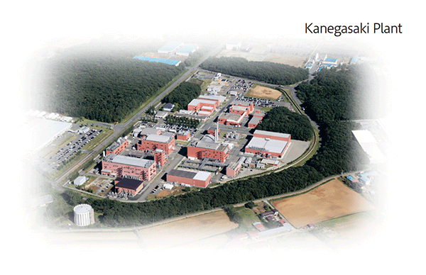 kanegasaki_fig4