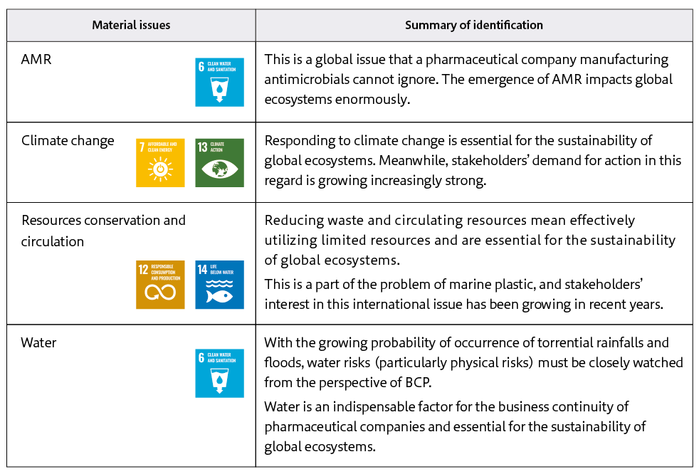 Shows a specific overview of environmental materiality