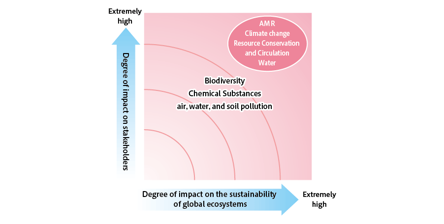 Environmental Materiality