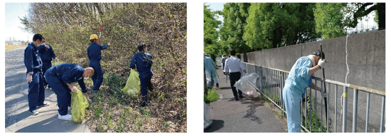 Cleanup activities around the plant