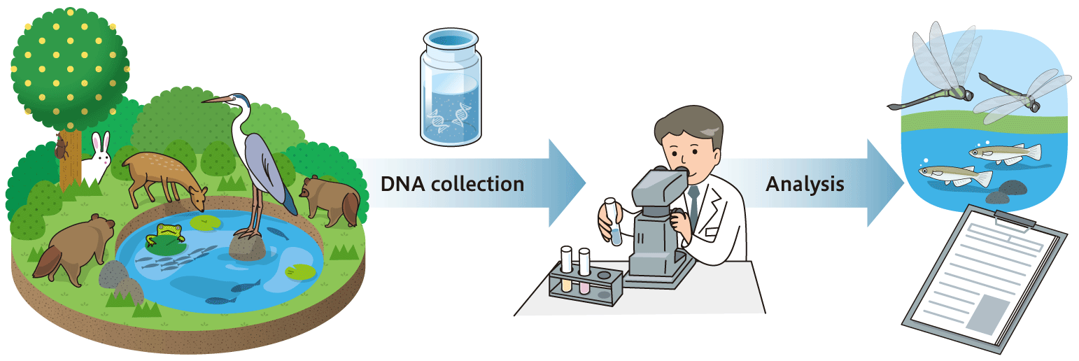 Environmental DNA Monitoring