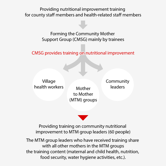 Providing nutritional improvement training for county staff members and health-related staff members. Forming the Community Mother Support Group (CMSG) mainly by trainees. CMSG provides training on nutritional improvement. Village health workers. Mother to Mother (MTM) groups. Community leaders. - Providing training on community nutritional improvement to MTM group leaders (60 people) . - The MTM group leaders who have received training share with all other mothers in the MTM groups the training content (maternal and child health, nutrition, food security, water hygiene activities, etc.).