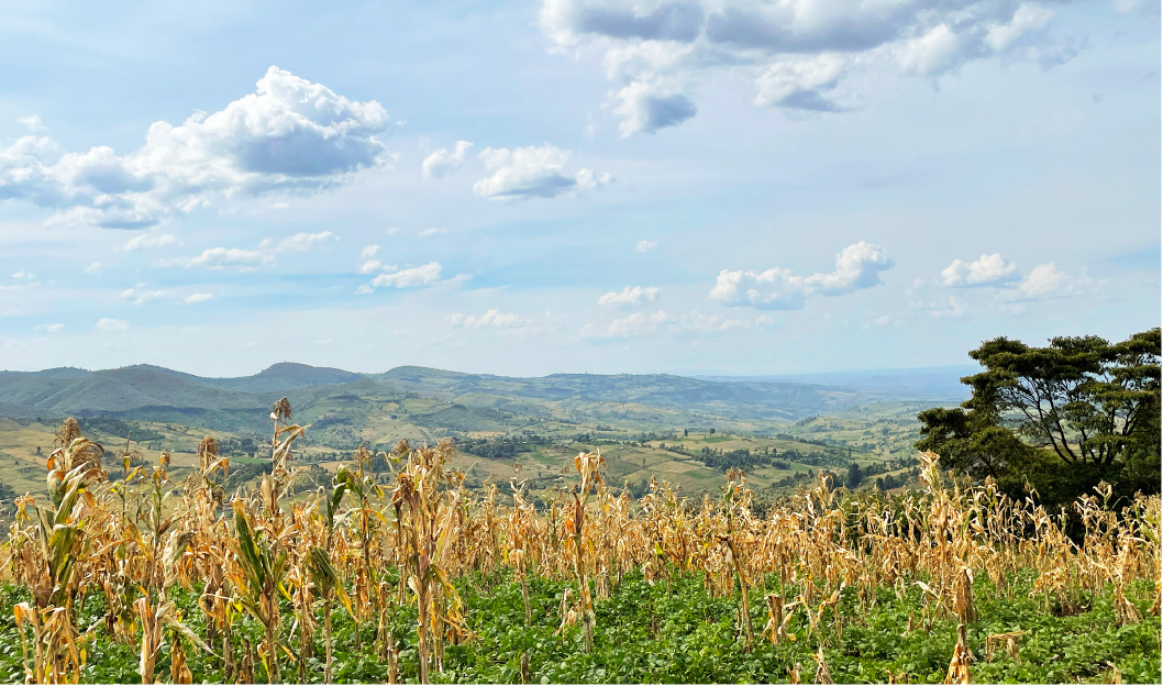 Landscape of Kiambogoko region
