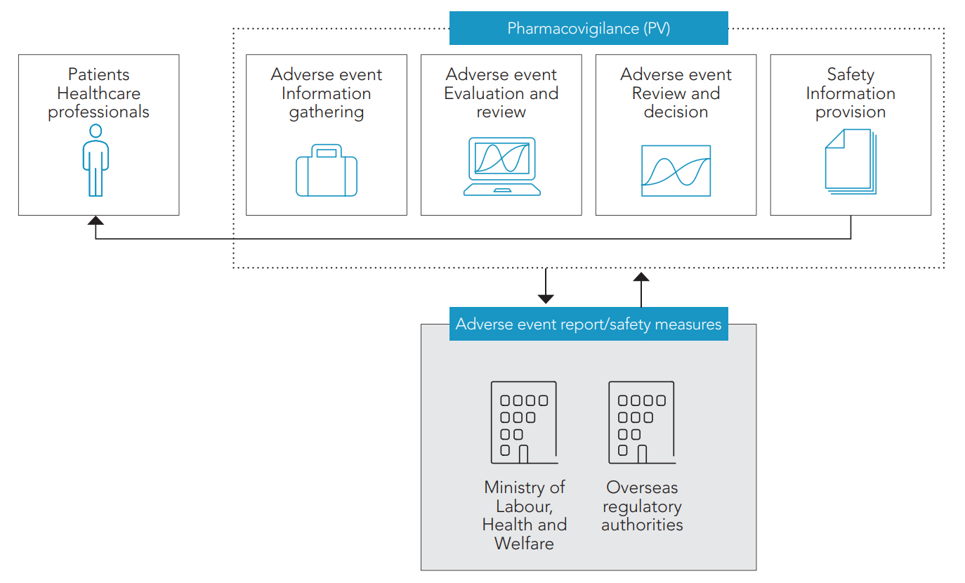 [Pharmacovigilance (PV)] Adverse event Information gathering, Adverse event Evaluation and review, Adverse event Review and decision, Safety Information provision (→ Patients Healthcare professionals) &rlarr; [Adverse event report/safety measures] Ministry of Labour, Health and Welfare, Overseas regulatory authorities