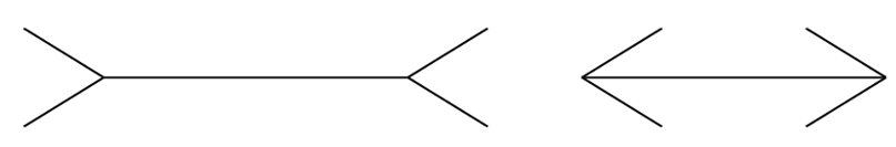 ▲ミュラー・リヤー錯視。上下の横線は同じ長さだが、矢羽の向きによって長さが違って見える。八幡さんが脳科学に興味を持つきっかけとなった現象の一つ（出典：Wikimedia Commons, Franz Müller-Lyer, CC0 1.0）