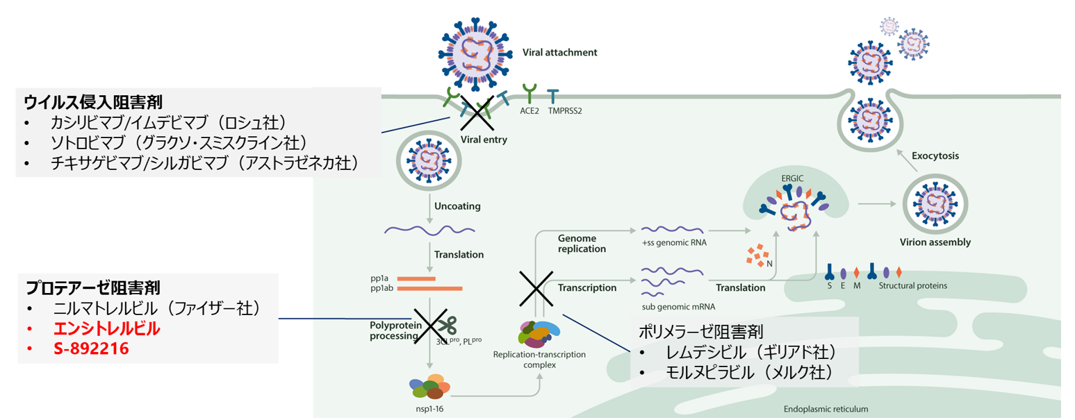 研究トピックス | 創薬研究 | 塩野義製薬