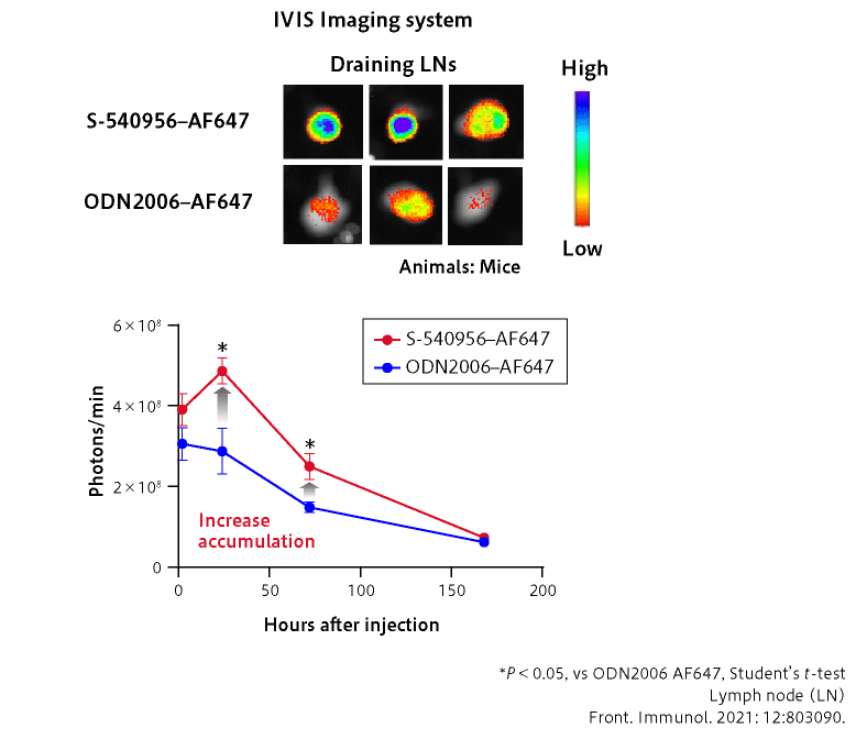 S-540956 efficiently accumulates at LNs as designed