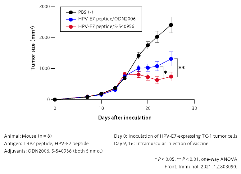 Therapeutic effect of the cancer peptide vaccine is significantly enhanced by S-540956