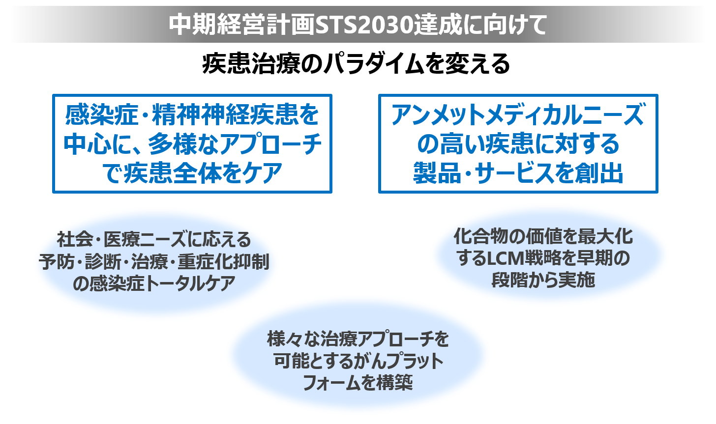 STS 開発のVision図