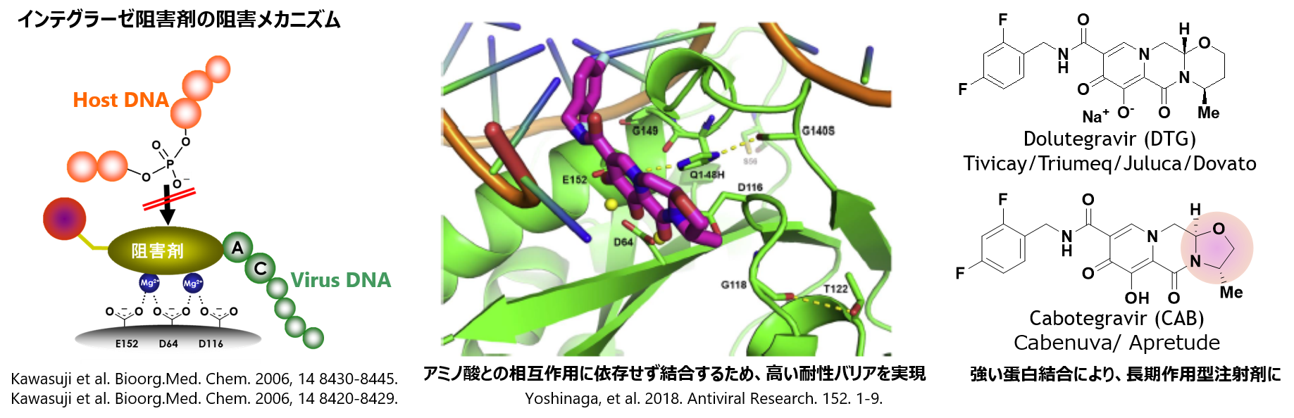 インテグラーゼ阻害剤のメカニズム
