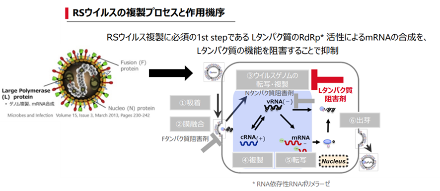 RSウイルス