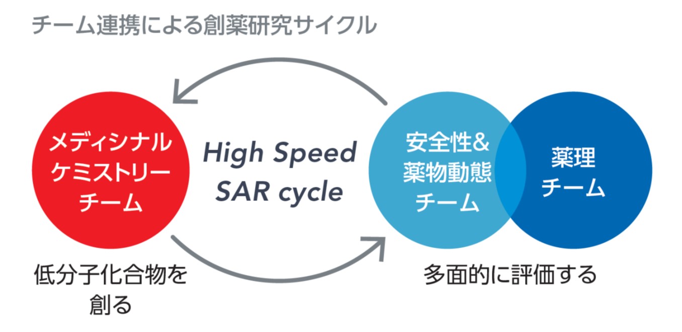 チーム連携による創薬研究サイクル