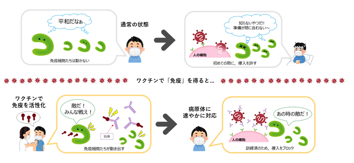 ワクチンとは