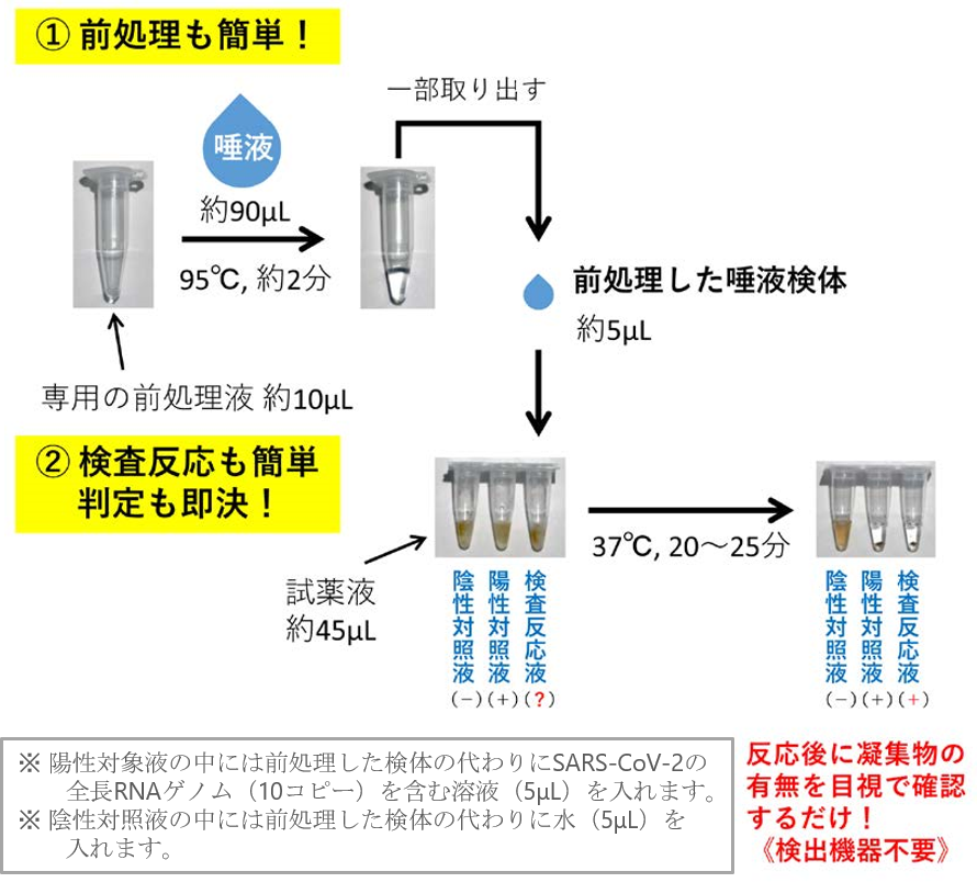図2: 判定までのフロー(手順)
