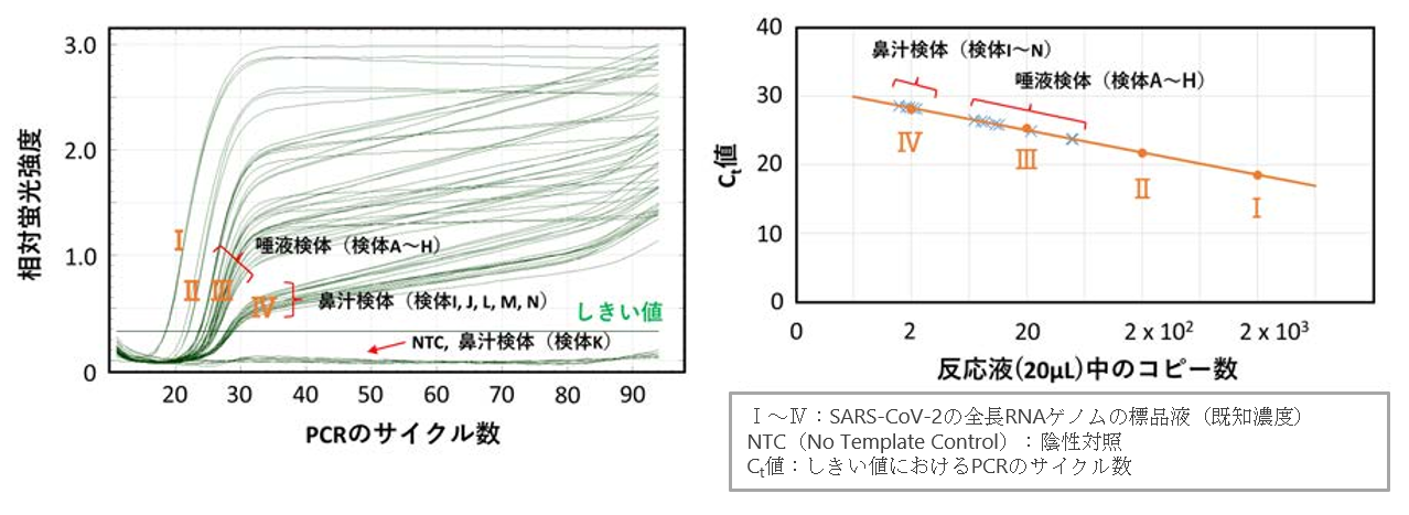 Figure 3: Test results by PCR method