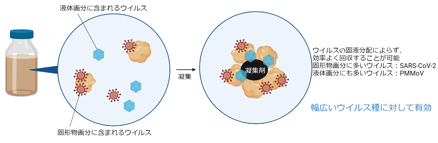 ＜図3：固形物・液体の両画分のウイルス検出に適したCOPMAN法＞