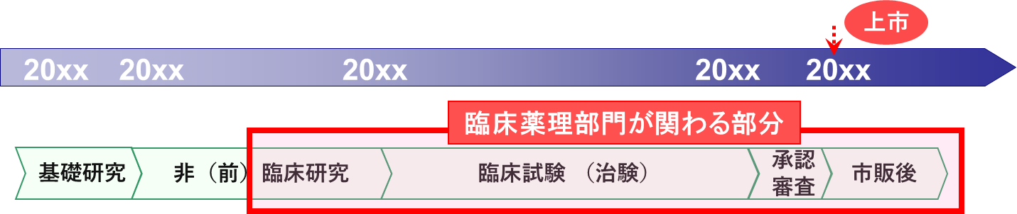 臨床薬理部門が関わる業務