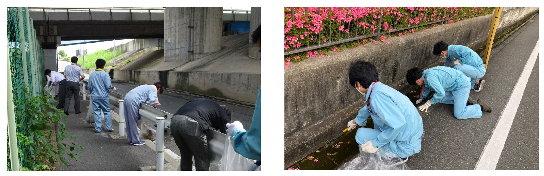 Cleanup activities around the plant