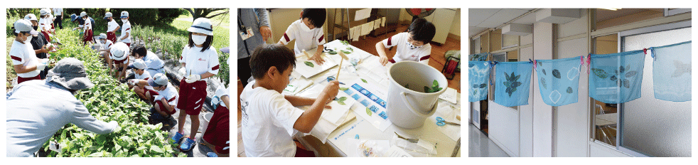 甲賀市立油日小学校の総合学習支援の様子の写真