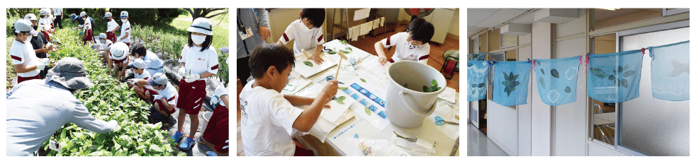 Elementary School, a public school in Koka City