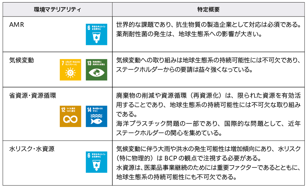 環境マテリアリティの特定概要