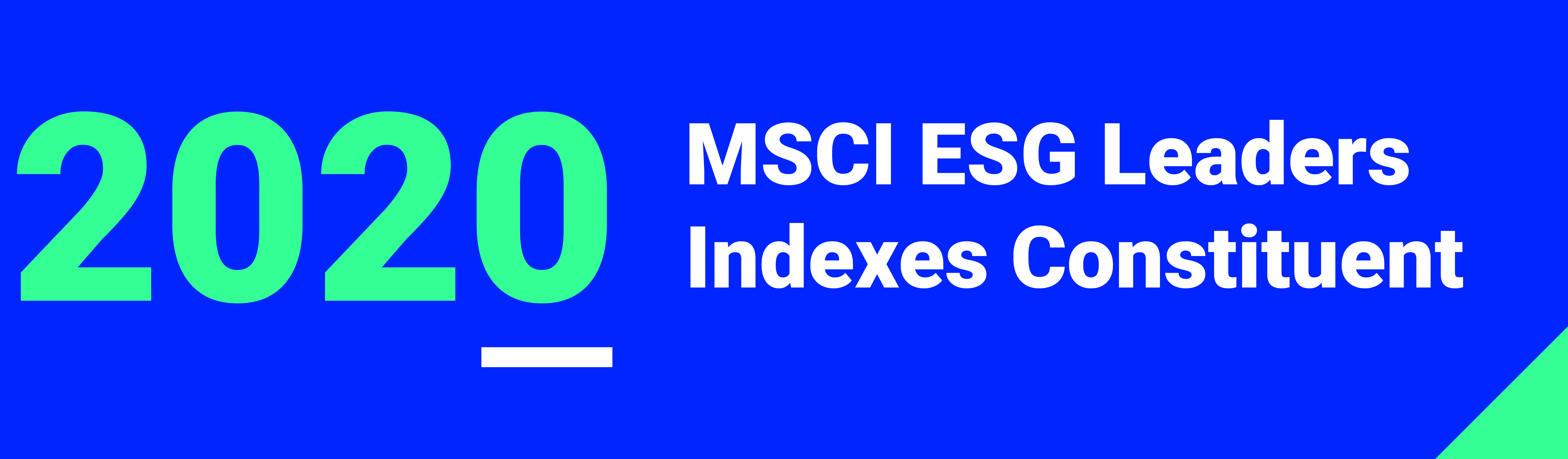 MSCI Leaders Indexes Constituent