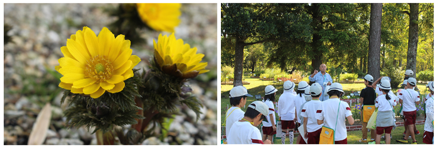 Activities through the Aburahi Botanical Garden