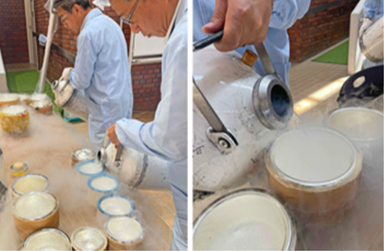 Pictures of the Mitsubo Science Lab