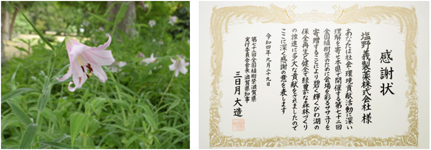 Pictures of lilies and a letter of appreciation
