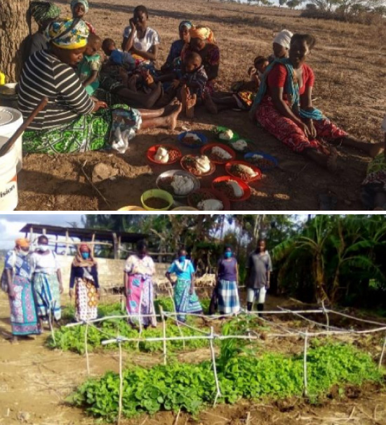 写真上：コミュニティへの栄養改善研修、写真下：家庭菜園