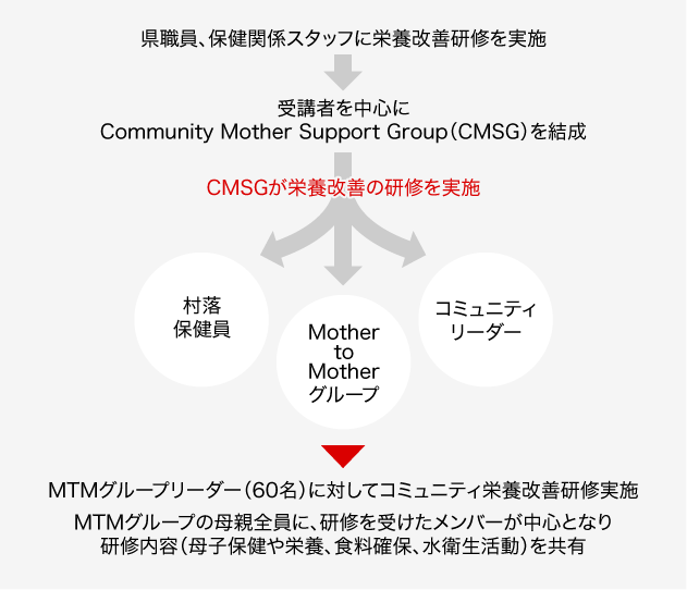 県職員、保健関係スタッフに栄養改善研修を実施。受講者を中心に Community Mother Support Group(CMSG)を結成。村落保健員。Mother to Mother グループ。コミュニティリーダー。MTMグループリーダー(60名)に対してコミュニティ栄養改善研修実施。MTMグループの母親全員に、研修を受けたメンバーが中心となり研修内容(母子保健や栄養、食料確保、水衛生活動)を共有。