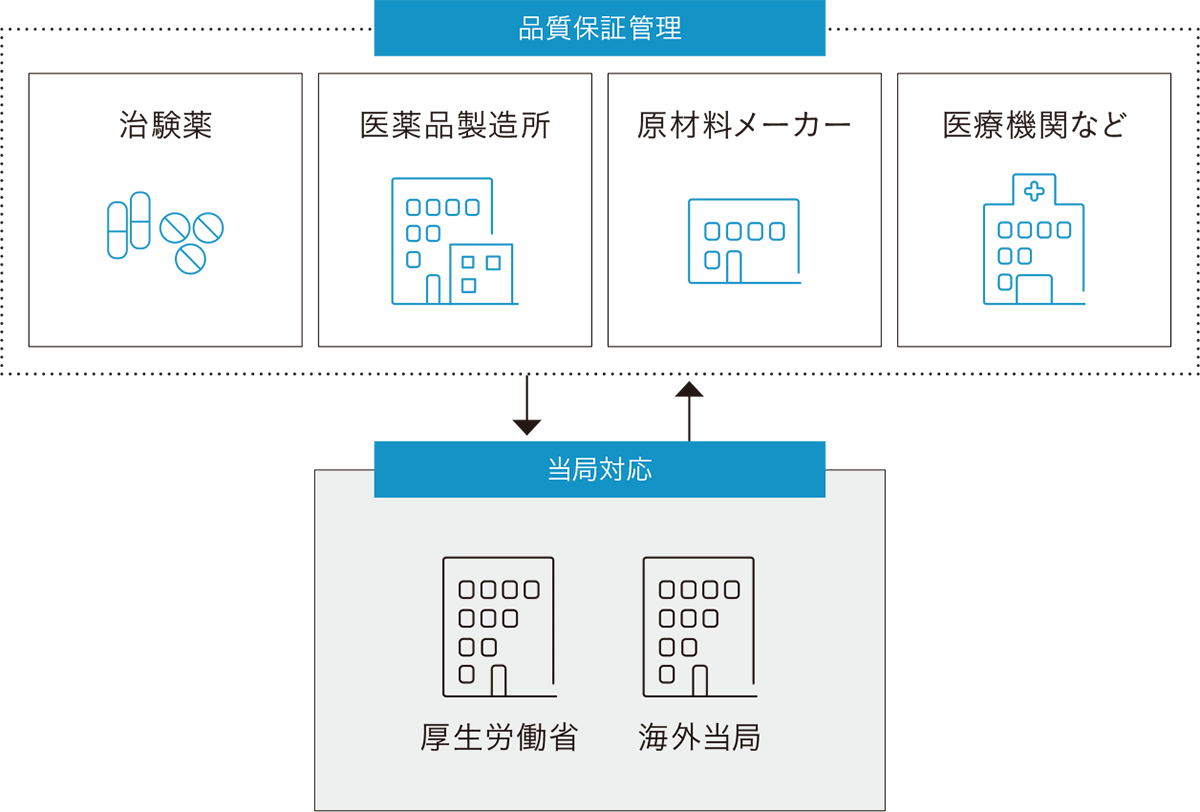 ［品質保証管理］治験薬、医薬品製造所、原材料メーカー、医療機関など &rlarr; ［当局対応］厚生労働省、海外当局