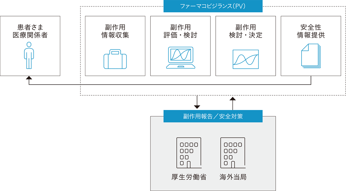 ［ファーマコビジランス（PV）］副作用 情報収集、副作用 評価・検討、副作用 検討・決定、安全性 情報提供（→ 患者さま、医療関係者） &rlarr; ［副作用報告／安全対策］厚生労働省、海外当局