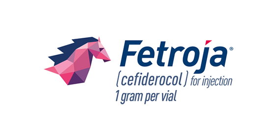 Fetroja Logo