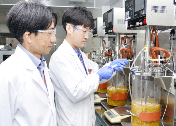 発酵槽を用いた培養