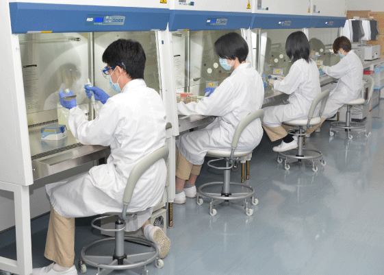 細菌を用いた抗菌薬評価