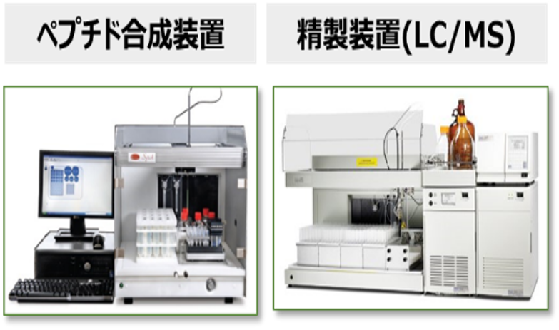 ペプチド合成装置と精製装置(LC/MS)