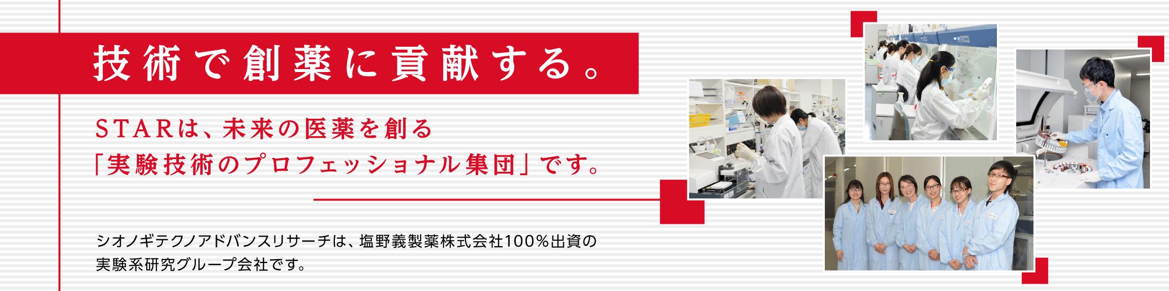 企業情報